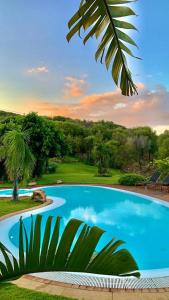 a large blue swimming pool next to a golf course at Villa Babsy con piscina privata in San Teodoro