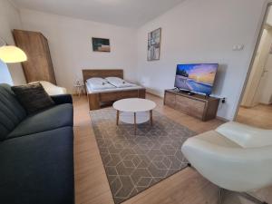 a living room with a couch and a tv at Ida Apartman in Miskolc