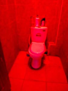 a red bathroom with a toilet in a red room at Silverline Suite in Kitengela 