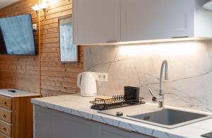 a kitchen with a sink and a counter top at Proxial - domki letniskowe in Międzywodzie +96 photos