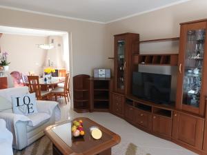 a living room with a couch and a tv at Apartman Blaženka in Kampor