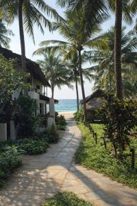 a path leading to a beach with palm trees at Forget Me Not Resort in Agonda