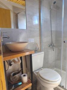 a bathroom with a toilet and a shower and a sink at Patagonia Tiny house 3 in El Chalten
