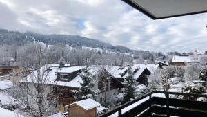 a town with snow covered roofs and houses at FeWo Edelweiß Jäger in Nesselwang +4 photos