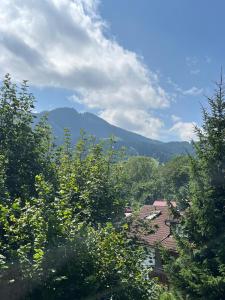 a view of a town with trees and mountains at FeWo Edelweiß Jäger in Nesselwang