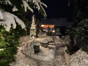 a garden covered in snow at night with a christmas tree at Ferienanlage Klotz in Pleystein
