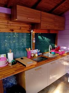 a kitchen with a sink and a counter top at Gîte Anolis in Saint-François +5 photos