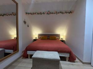 a bedroom with a bed and a large mirror at Appartement douillet in Haspres