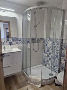 a bathroom with a shower and a sink at Sklípek u Štýblů in Velké Němčice +26 photos