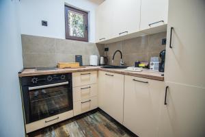 a kitchen with a stove and a sink and a refrigerator at Green Hideaway SPA in Žabljak