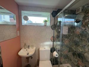 a bathroom with a toilet and a sink and a shower at Studio Flat in Seymour Road in Bristol