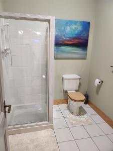 a bathroom with a shower and a toilet at Recently refurbished former art studio in Rothiemay Station +11 photos