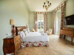 a bedroom with a bed and a television and a piano at Hotel Palacio Urgoiti in Mungia