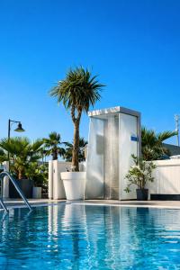 a swimming pool with a palm tree in the background at Hotel Liberty Beach - Parking & Beach in Riccione +85 photos