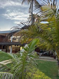 a palm tree in front of a building at Pousada Maresia in Guajiru