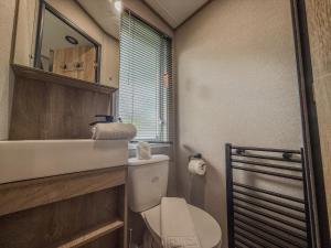 a bathroom with a toilet and a sink and a mirror at Oakmont Lodge in Allerthorpe +8 photos