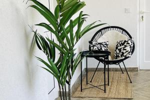 a plant next to a chair and a plant at Sea View Apartments in Grebaštica