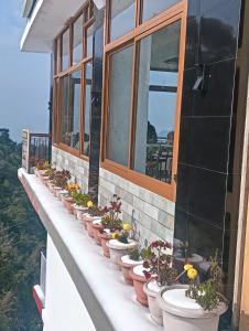 a row of flower pots on a window sill at Amazing view Home Stay in McLeod Ganj