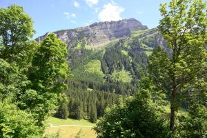 a view of a mountain with trees in the foreground at Berggasthaus Voralp in Grabs