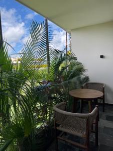 a patio with a table and chairs and plants at Alof Studio in the Jungle in Tulum