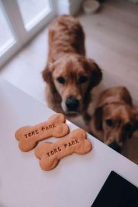 two dogs are looking at two gingerbread dogsutestimes play at Tree Top - Perfect Apartment For Relaxing Getaway, Balcony, Parking in Lynmouth
