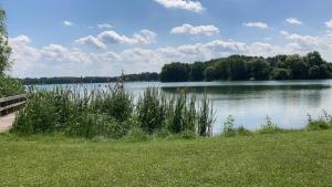 a view of a lake with trees in the background at Ferienwohnung Seeblick in Wustrow
