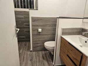 a bathroom with a toilet and a sink at logement cocooning in Ardenais