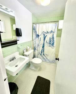 a bathroom with a white toilet and a sink at Snowdon Chalet Motel in Londonderry +257 photos