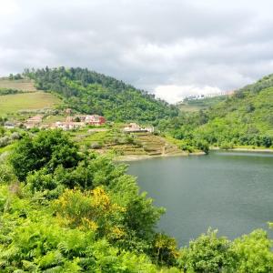 a view of a river with trees and houses at O cantinho da Laura in Lamego