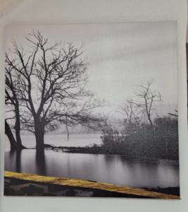 a black and white picture of trees and water at Al Vicolo in Enna