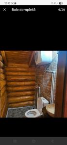 a bathroom with a toilet and a wooden wall at Căbănuțe lemn cu ciubăr in Varvata