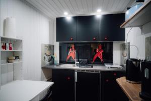a kitchen with black cabinets and figurines on the counter at Ferienwohnung Gierschner in Kronach