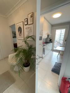 a living room with a potted plant and a kitchen at logies One Room, Sea view in Ostend