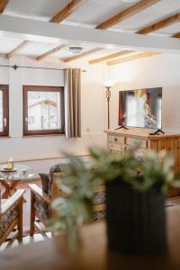 a living room with a couch and a tv at Haus Erlenau in Dalaas