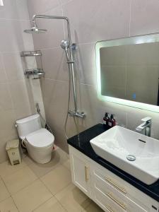 a bathroom with a sink and a toilet and a mirror at Tiến Đạt Villa in Vung Tau +4 photos