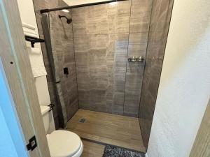 a bathroom with a shower with a toilet at Borunda Suites in General Trías