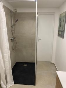 a shower with a glass door in a bathroom at Gîte sur Loue in Ornans +44 photos