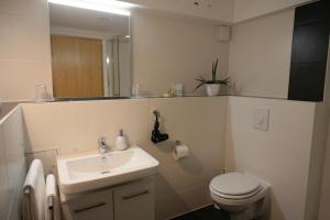 a bathroom with a sink and a toilet and a mirror at Haus Sieber in Sankt Andreasberg