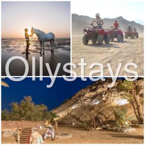 a collage of three pictures of people on atvs and a horse on at Heated Pool 4BR Villa, Lagoon Front, Ancient Sands - OllyStays in El Gouna