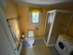 a small bathroom with a toilet and a shower at Haus Paula in Sjötorp