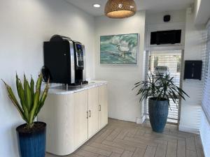 a room with two potted plants and a television at Chateau Mar Beach Hotel NEWLY REFURBISHED in Ormond Beach