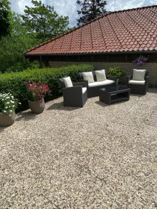 a patio with two couches and some plants and flowers at Eichhörnchenblick in Hahnenklee-Bockswiese