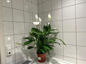 a potted plant sitting on a counter in a bathroom at Large Room with Balcony -two storey condo- nearby Scandic Business Center bus stop in Stavanger +51 photos