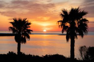 two palm trees in front of a sunset at Rocca Ruja Vip in Stintino