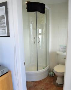 a bathroom with a shower and a toilet at Pier Cottage at Kames in Kames +7 photos