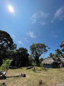 a house with a thatched roof in a field at Hostal ladrillerossurf in Buenaventura