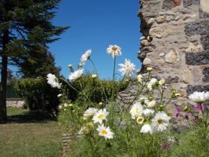 a bunch of flowers in front of a stone wall at L'Epinette in Torchefelon