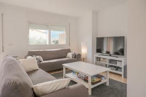 a living room with a couch and a tv at Casa con jardín en Besalú, ideal para familias in Besalú