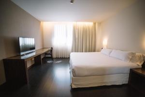 ein Hotelzimmer mit Bett, Schreibtisch und Fernseher in der Unterkunft ETH Rioja in Haro