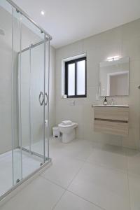 a bathroom with a shower and a toilet and a sink at Swieqi Malaika New Apt 6 in Is-Swieqi +51 photos